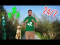 I Tried Full Time Dog Walking On Rover For 3 Months Shocking Earnings