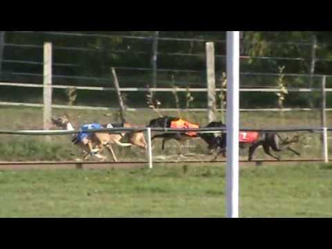 European Derby Sprint Final - P.R. Messi T.R.!!