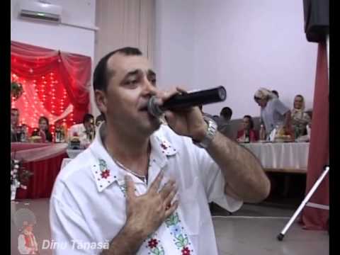 Dinu Tanasa 2011 - Lesu - Muzica de masa 2.avi