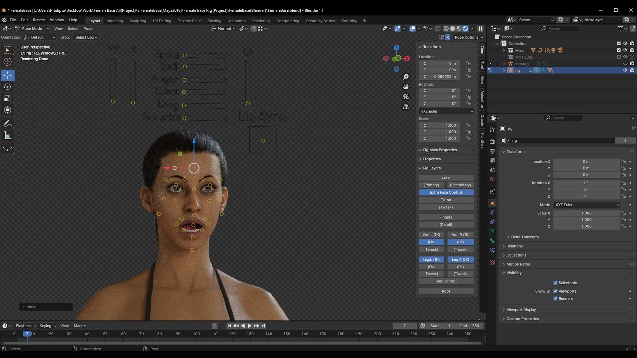 Vrouwelijke basis volledige rig 3D Model