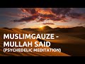 Muslimgauze - Mullah Said | Psychedelic Ambient