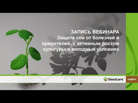 ������ ��� �� �������� � ����������, � �������� ������ �������� � �������� ��������