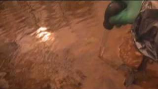 Sewer Chewer - clip .mov