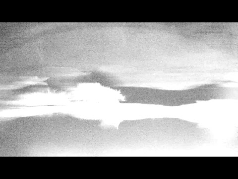 Djuma Private Game Reserve Live Stream