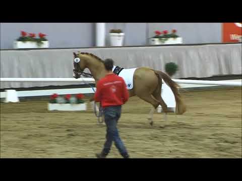 50 Twix  v. Top Vidal / Marsvogel xx