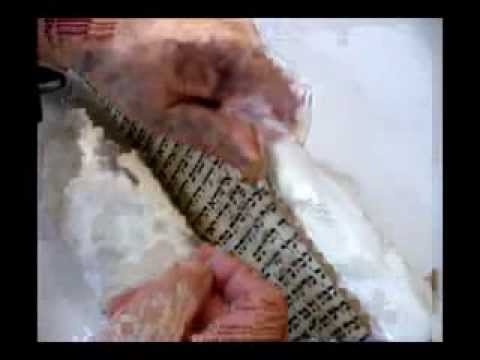 download lagu mp3 mp4 Torah Pointer Kit, download lagu Torah Pointer Kit gratis, unduh video klip Torah Pointer Kit