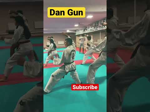 🥋Dan Gun Tull ITF TaekwonDo#short