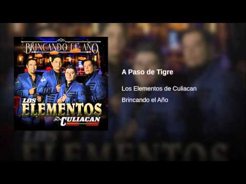 download lagu mp3 mp4 El Ao Del Tigre, download lagu El Ao Del Tigre gratis, unduh video klip El Ao Del Tigre