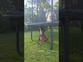 ball!