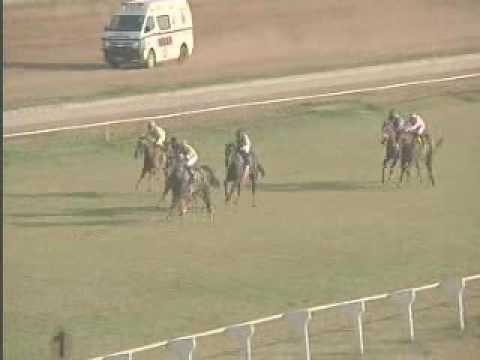 Borrowdale 31 July 2016, Race 6