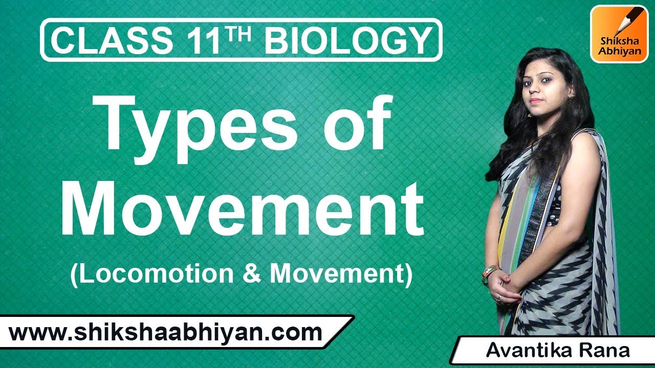 Types of Movement | Locomotion and Movement | CBSE Class 11 Biology