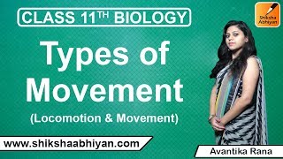 Types of Movement | Locomotion and Movement | CBSE Class 11 Biology