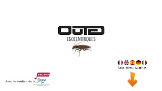 TED Egocentriques [Clip Officiel]