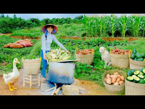 Country Girl Harvest Corn, Sweet Potatoes, Quail Eggs, Avocados To Sell At The Market - Cook, Farm.