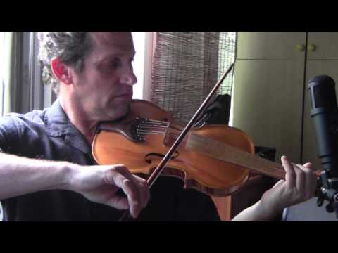 Double-String Violin - Daniel Hoffman