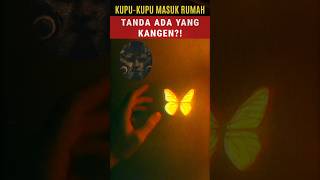 Download lagu ketika Kupu-Kupu Masuk Rumah Tiba-Tiba❓😰 #mitoskupukupu #ceritakampung #hewanmistis #shorts mp3 Download lagu ketika Kupu-Kupu Masuk Rumah Tiba-Tiba❓😰 #mitoskupukupu #ceritakampung #hewanmistis #shorts mp3