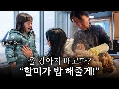 ‘할머니 배고파요…’ 이사하느라 굶주린 손녀들 모습에 전투력 폭발한 한국 할머니 (feat. 꼬리곰탕)