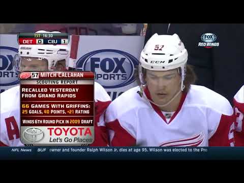 NHL   Mar.25/2014   Detroit Red Wings - Columbus Blue Jackets