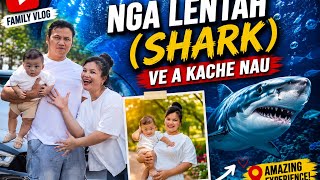 Download lagu NGA LENTAH (SHARK) VE A KACHE U mp3 Download lagu NGA LENTAH (SHARK) VE A KACHE U mp3
