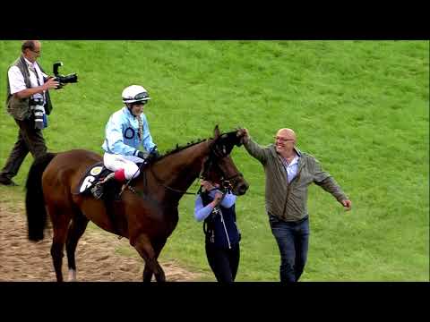 Galopprennbahn Dresden - 03.09.2017 - 9.Rennen