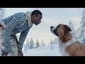 The Call Of The Wild Dog Fight Scene Omar Sy Movie Luphin Actor Emotional Animal Movie Cute