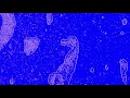 Niklas Paschburg, Fejká, Bianca Steck - All the Secrets Left Untold (Fejká Remix)