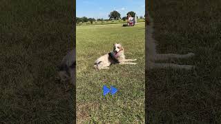 Boot On Stays Out of Sight