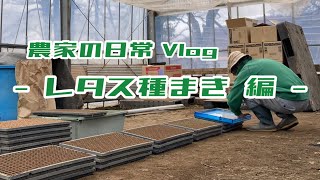 レタス種まき完全版 【農家の日常vlog】