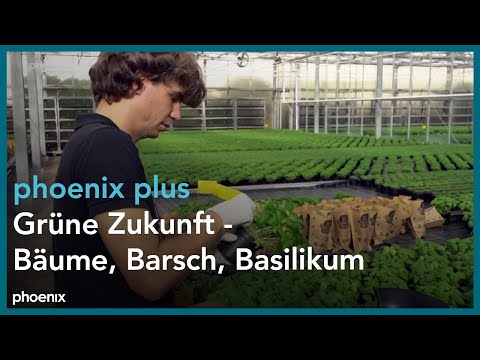 phoenix plus: Grüne Zukunft - Bäume, Barsch, Basilikum