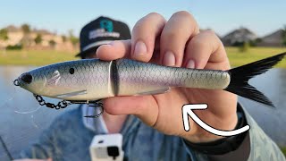 Fishing for Giant Bass in LOADED Texas Ponds