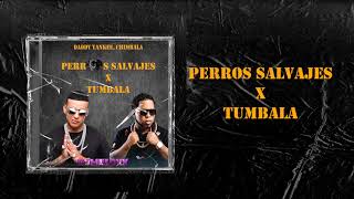 Daddy Yankee, Chimbala | Perros Salvajes X Tumbala (DJMELOXX Mashup)