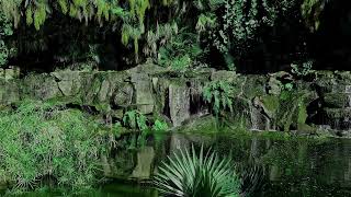 Peter Sue &amp; Marc~~ღ꧁ღ╭⊱ꕥ Amazonas ღ꧁ღ╭⊱ꕥ