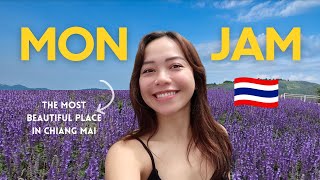 Glamping in Chiang Mai - MON JAM 🇹🇭 |