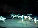Ringling Bros