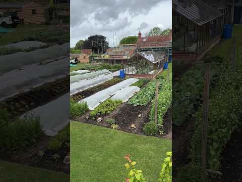No Dig Market Garden View | 17th May 2026