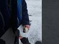 Video Thumbnail for Rainbow trout #catchandrelease #icefishing #shorts