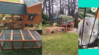 Rabbit hutch and run tour April 2016 | Rachel'sWorld