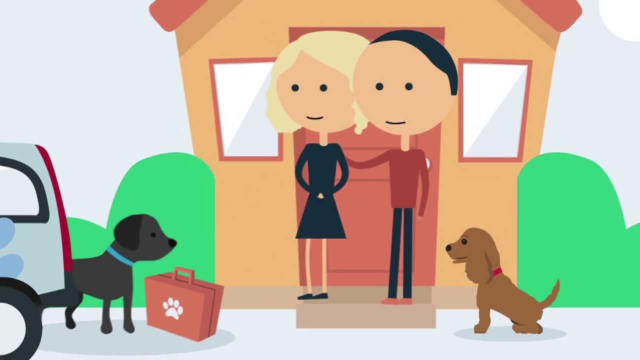 Meet Max 'How Barking Mad Works in 60 seconds' Dog Sitting Service