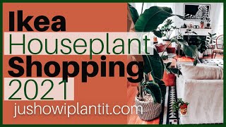 Ikea Plant Shop With Me 2021- Ikea Plant Shopping For Houseplants & Accessories