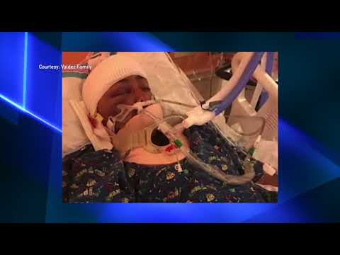 NJ Englewood Hit & Run