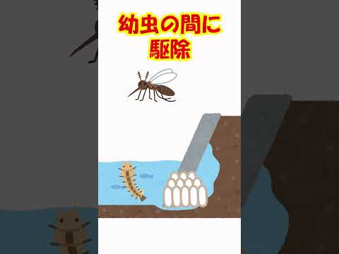 庭の幼虫を駆除するにはどうすればよいですか？何が彼らを惹きつけるのでしょうか？  庭園