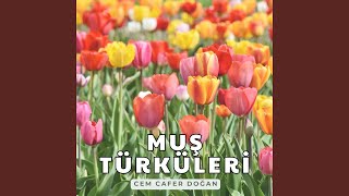 Kalenin Bedenleri Havar Yârim