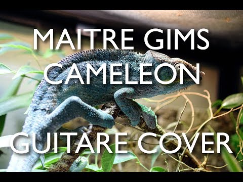 Caméléon - Maitre Gims