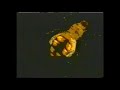 Meat Beat Manifesto   What's Your Name