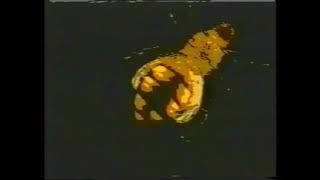 Meat Beat Manifesto   What&#39;s Your Name