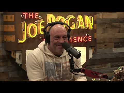Joe Rogan Experience #1890 - Bridget Phetasy