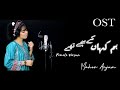 Tere Bin OST - Hum Kahan Ke Sachay Thay - Female Version - MAHER ANJUM - Hum Tv