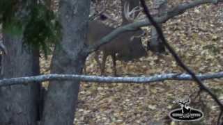 2013 October Bow Hunt - 240"