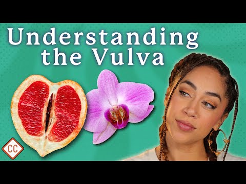 The Vulva & Vagina Explained: Sex Ed #2 CrashCourse
