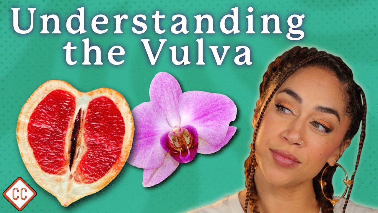 The Vulva \u0026 Vagina Explained: Sex Ed #2